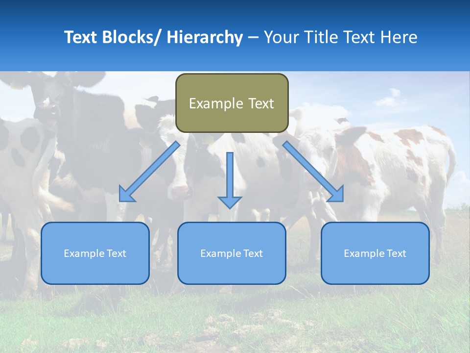Ventilation Cold Remote PowerPoint Template