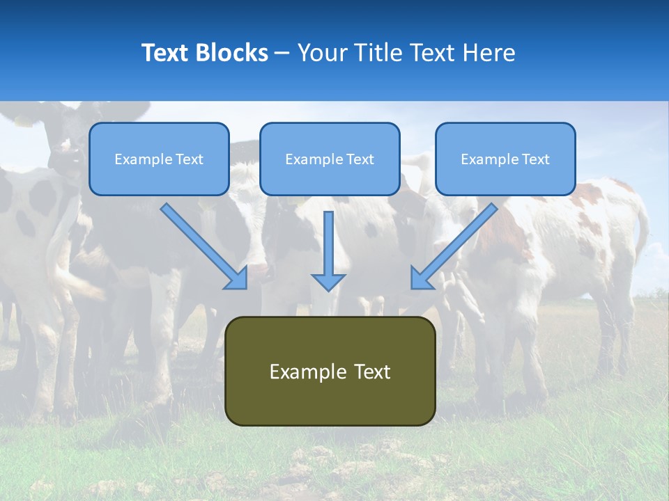 Ventilation Cold Remote PowerPoint Template