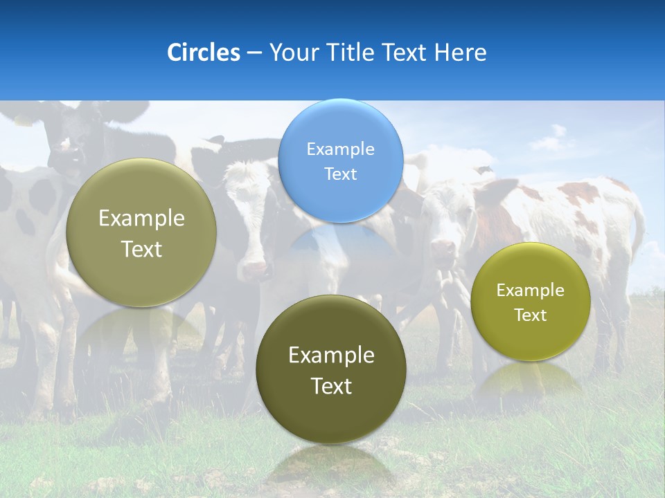 Ventilation Cold Remote PowerPoint Template