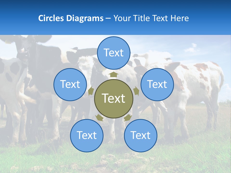 Ventilation Cold Remote PowerPoint Template