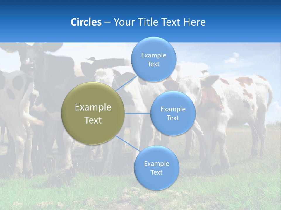 Ventilation Cold Remote PowerPoint Template