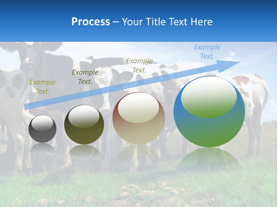Ventilation Cold Remote PowerPoint Template