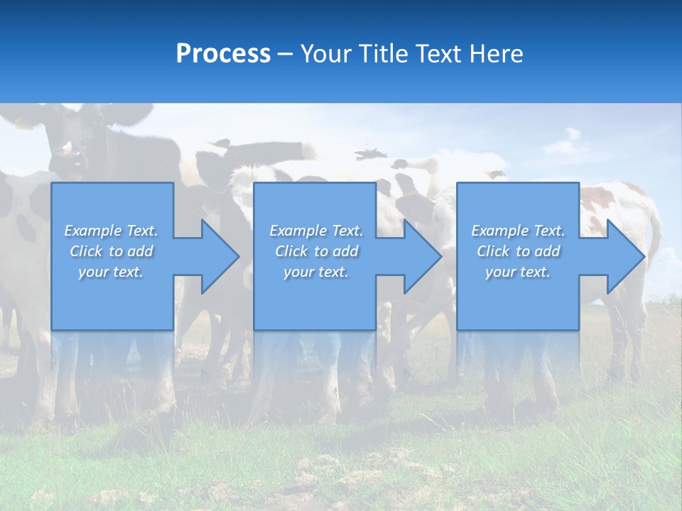 Ventilation Cold Remote PowerPoint Template