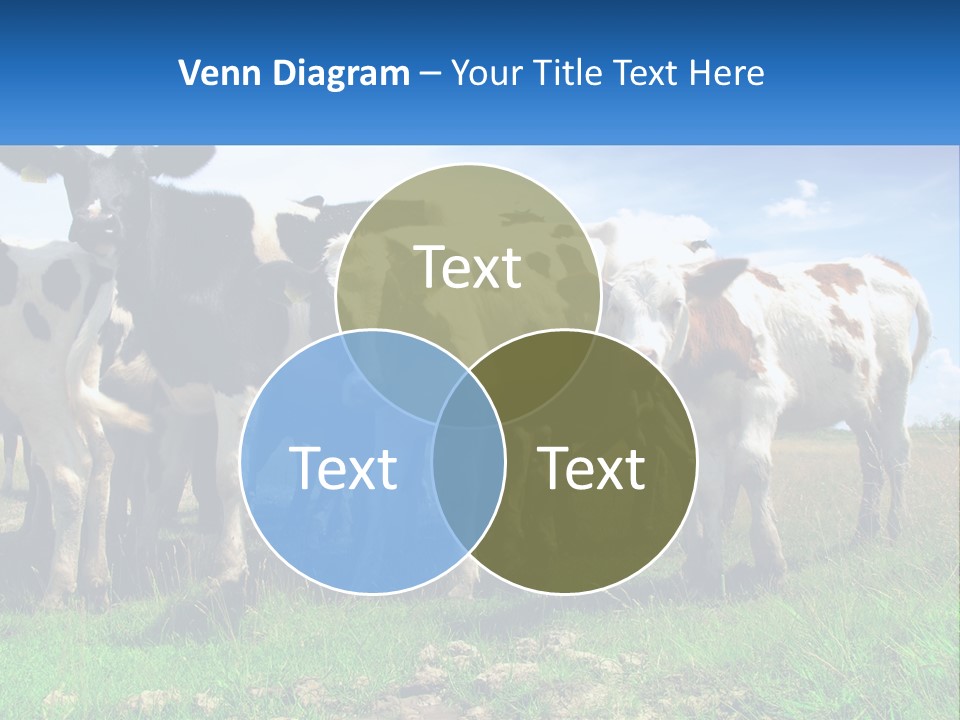 Ventilation Cold Remote PowerPoint Template