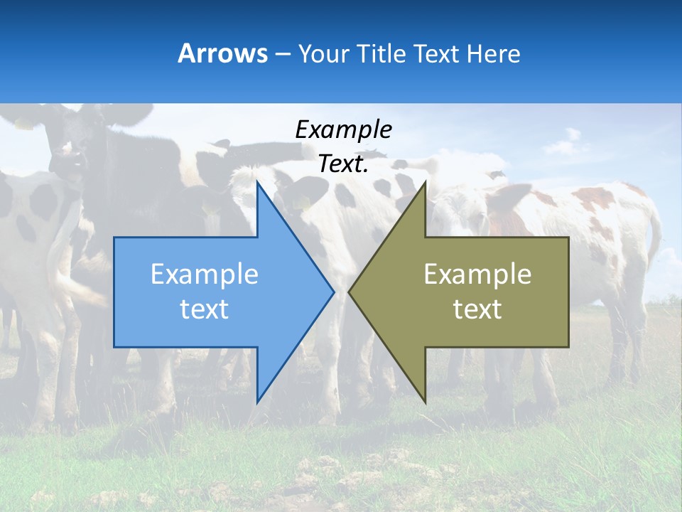 Ventilation Cold Remote PowerPoint Template