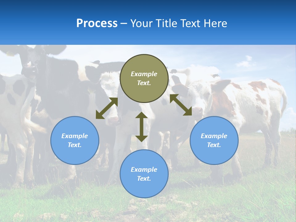 Ventilation Cold Remote PowerPoint Template