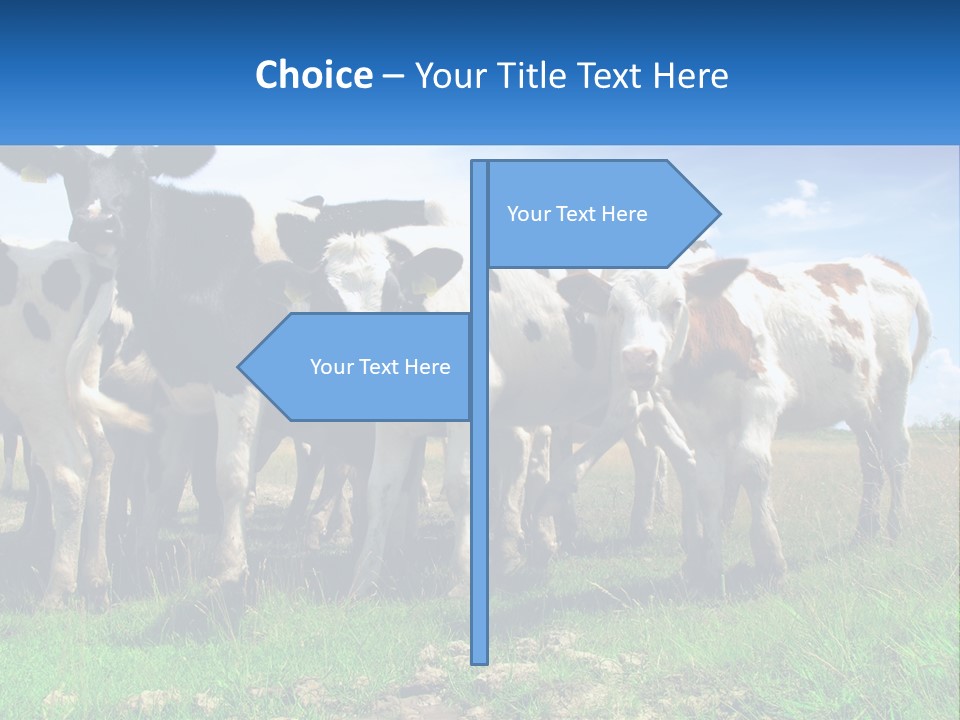 Ventilation Cold Remote PowerPoint Template