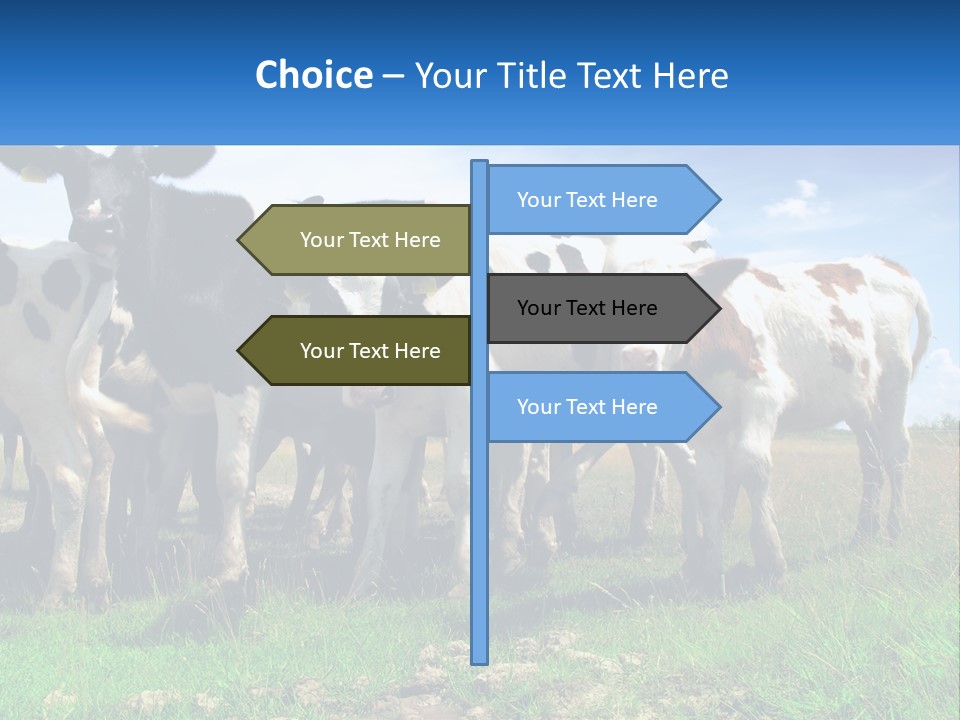 Ventilation Cold Remote PowerPoint Template