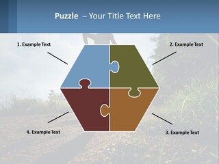 Cool Switch House PowerPoint Template