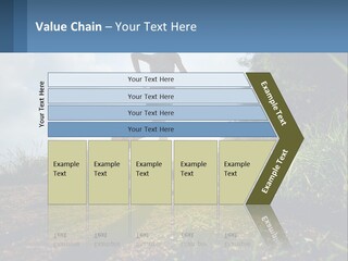 Cool Switch House PowerPoint Template