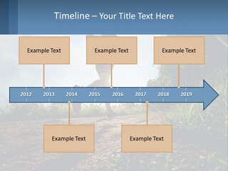 Cool Switch House PowerPoint Template