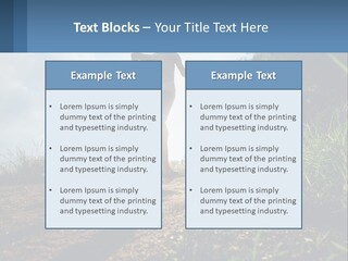 Cool Switch House PowerPoint Template