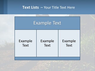 Cool Switch House PowerPoint Template