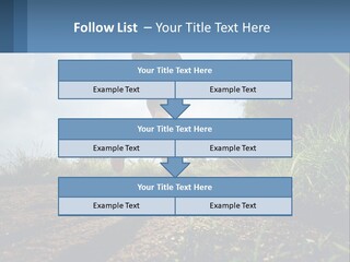 Cool Switch House PowerPoint Template