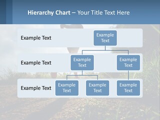 Cool Switch House PowerPoint Template