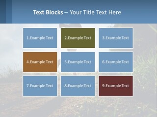 Cool Switch House PowerPoint Template