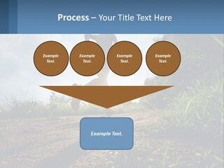 Cool Switch House PowerPoint Template