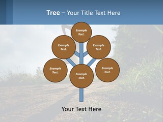 Cool Switch House PowerPoint Template