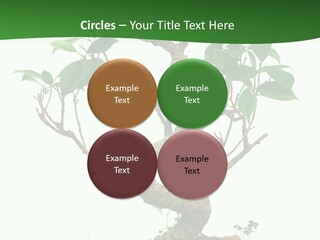 Equipment Remote Switch PowerPoint Template