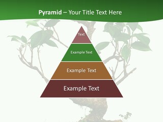 Equipment Remote Switch PowerPoint Template