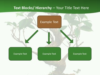 Equipment Remote Switch PowerPoint Template