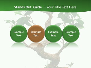 Equipment Remote Switch PowerPoint Template
