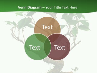 Equipment Remote Switch PowerPoint Template