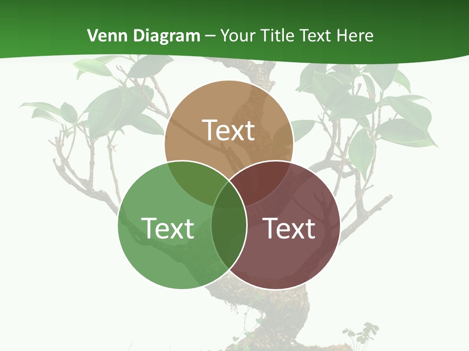 Equipment Remote Switch PowerPoint Template