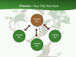 Equipment Remote Switch PowerPoint Template