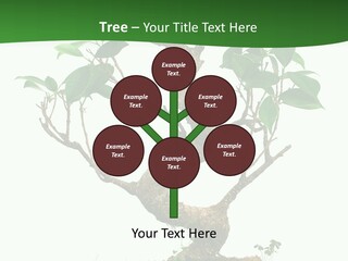 Equipment Remote Switch PowerPoint Template