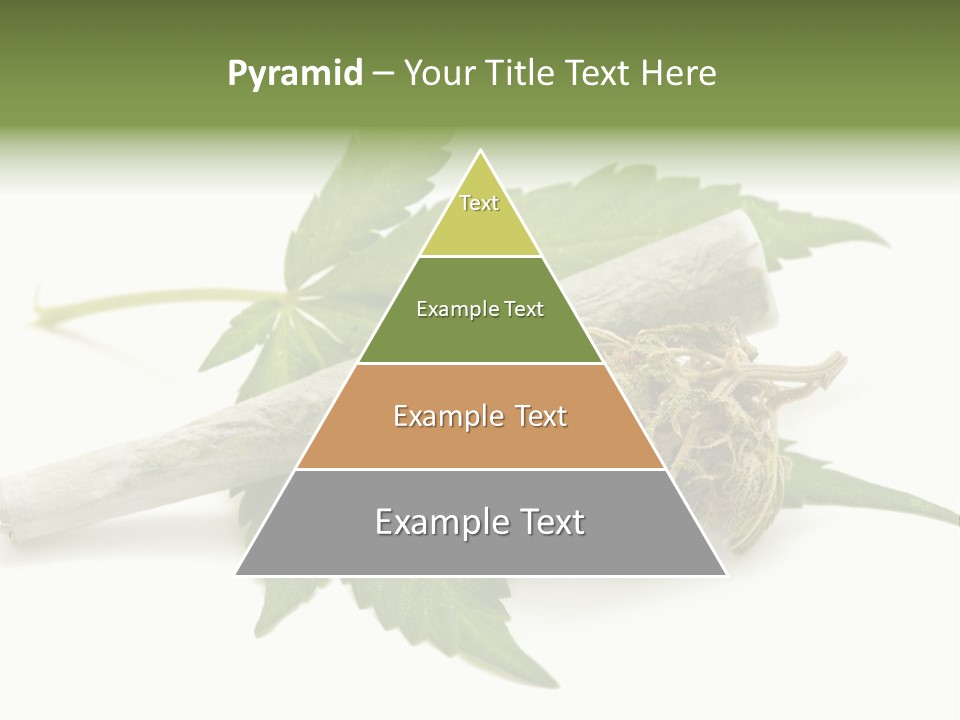 Part Technology Switch PowerPoint Template