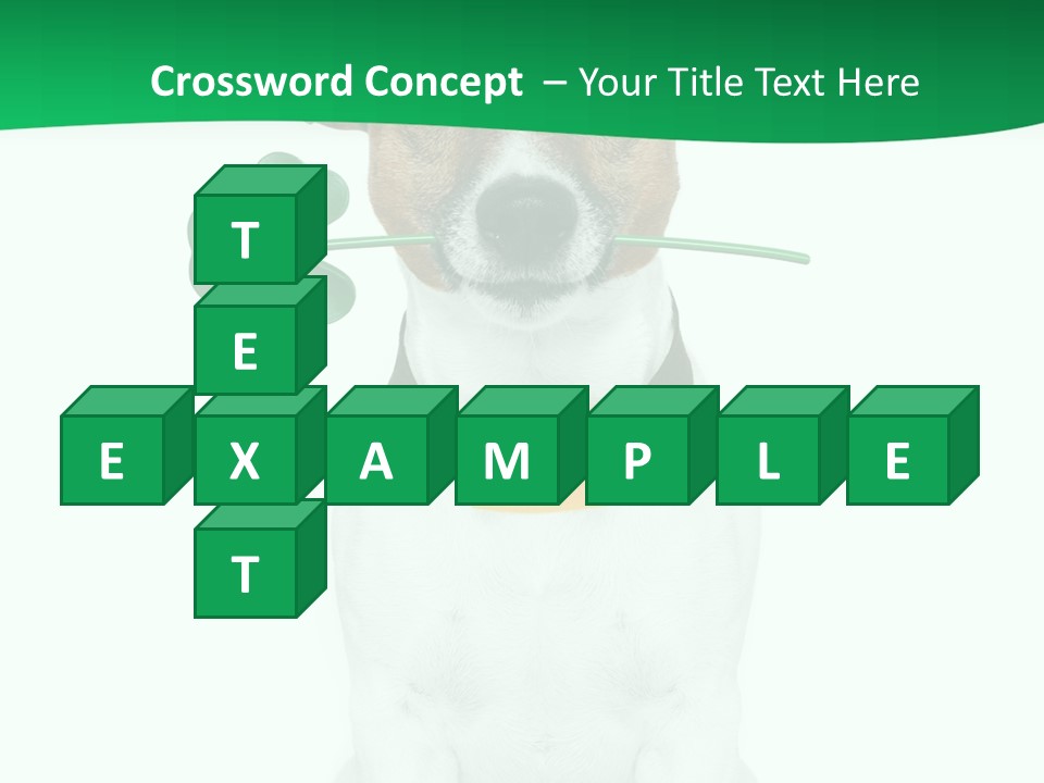 Cold Climate Heat PowerPoint Template