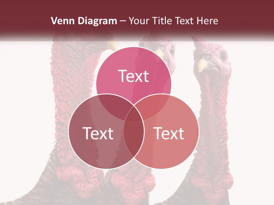 Power Cold Cool PowerPoint Template