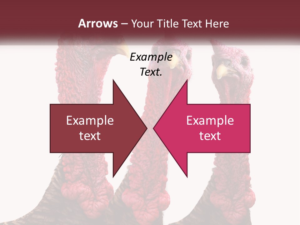 Power Cold Cool PowerPoint Template