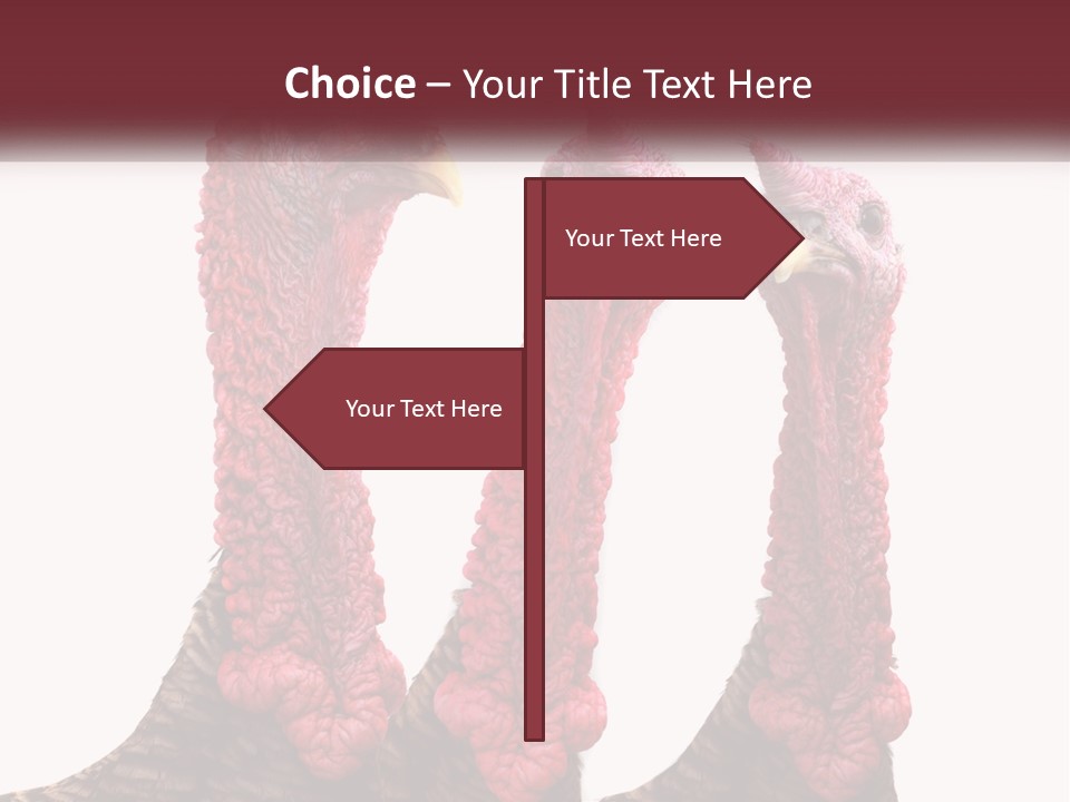 Power Cold Cool PowerPoint Template