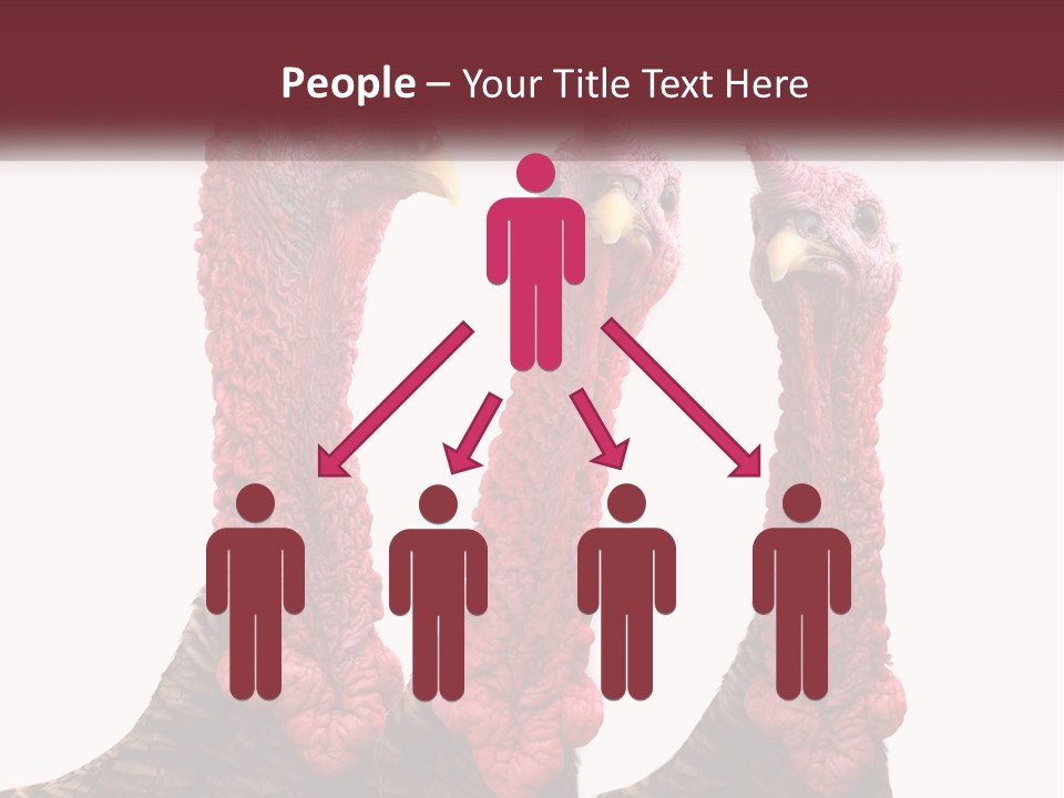 Power Cold Cool PowerPoint Template