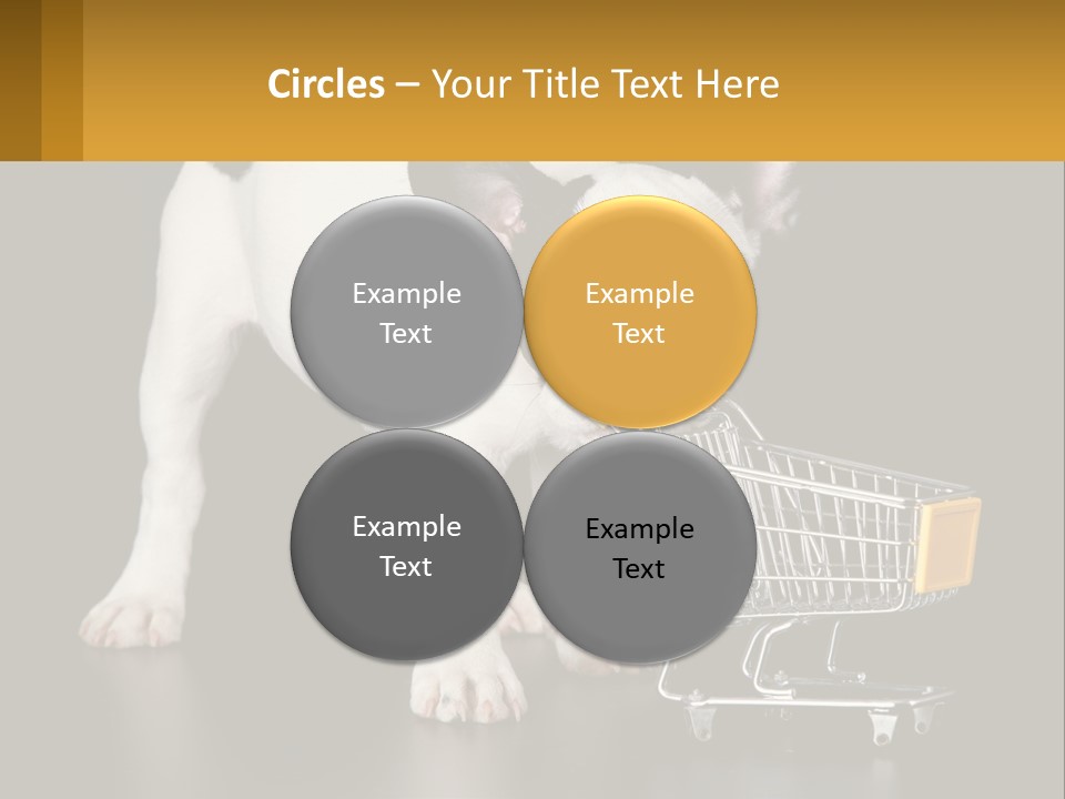 Cold Supply Switch PowerPoint Template