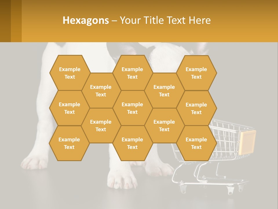 Cold Supply Switch PowerPoint Template