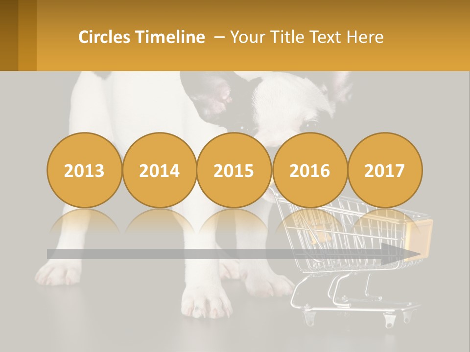 Cold Supply Switch PowerPoint Template