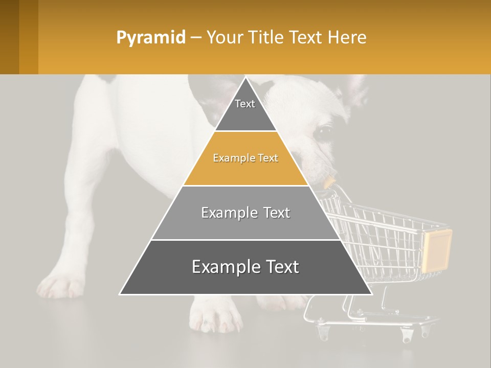 Cold Supply Switch PowerPoint Template