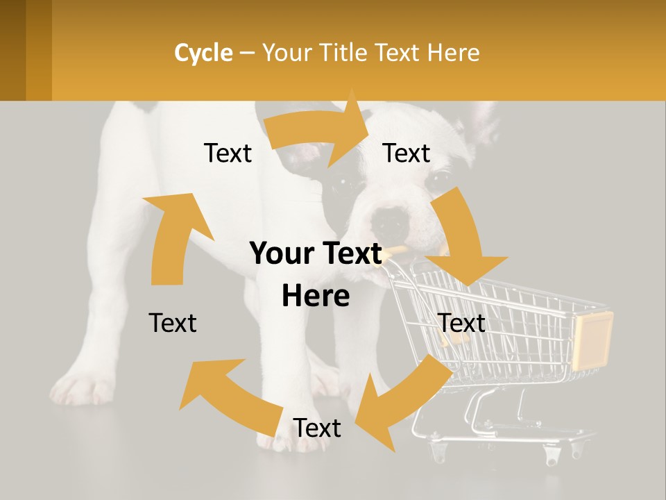 Cold Supply Switch PowerPoint Template