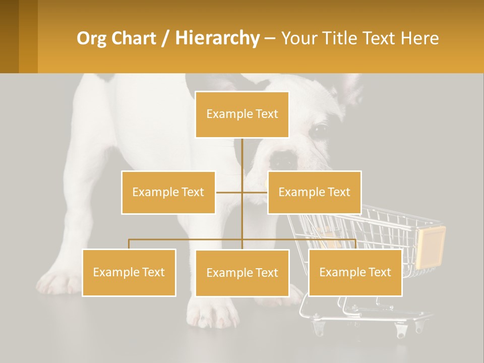 Cold Supply Switch PowerPoint Template