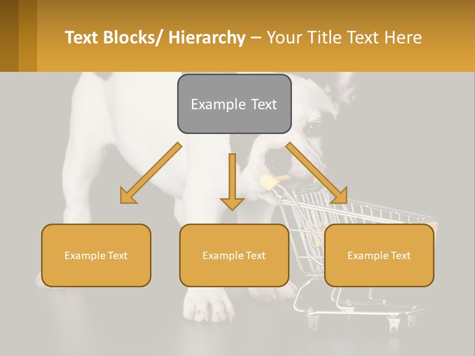 Cold Supply Switch PowerPoint Template