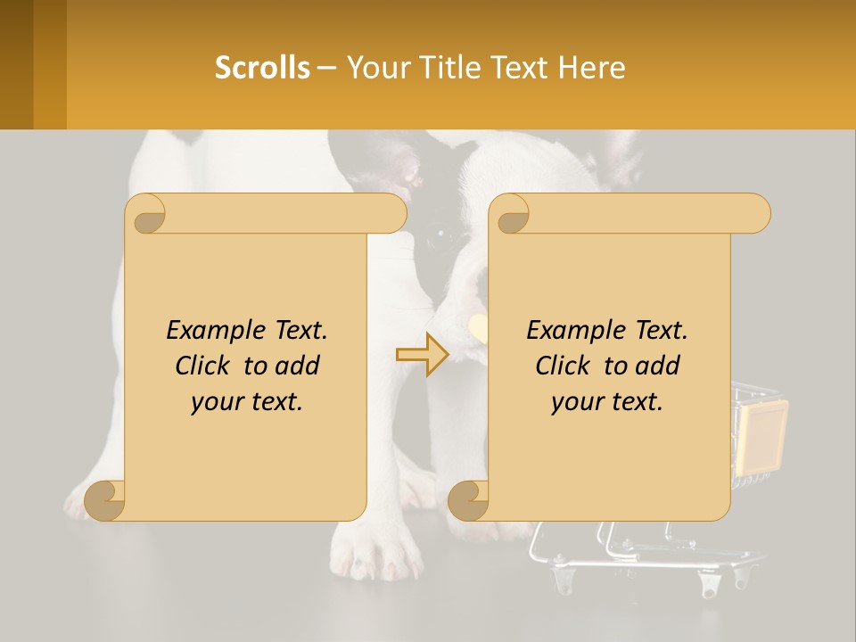 Cold Supply Switch PowerPoint Template