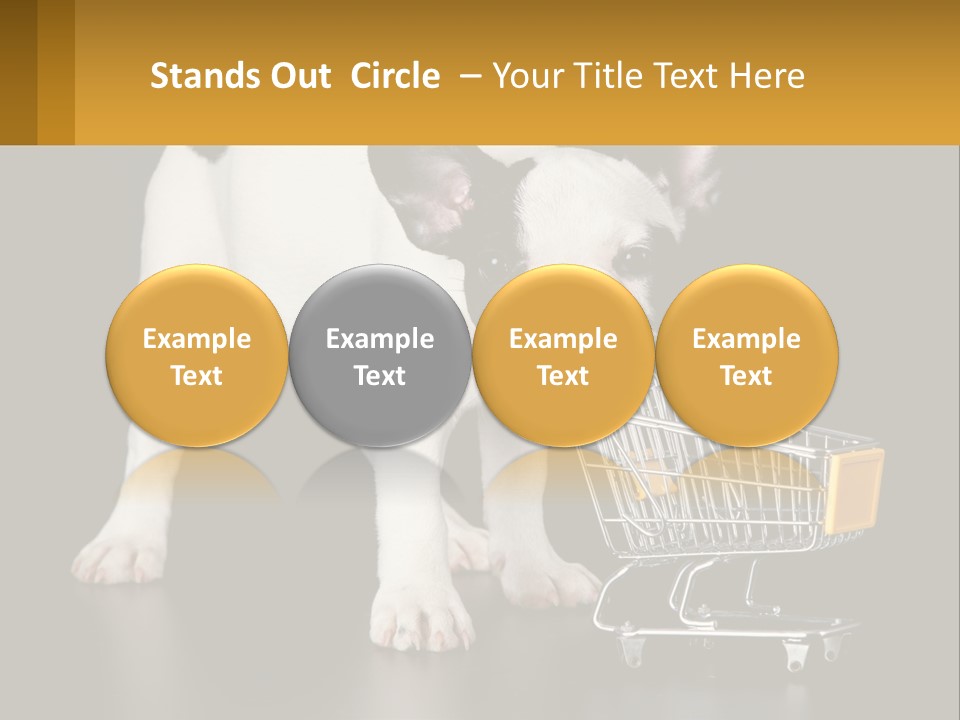 Cold Supply Switch PowerPoint Template
