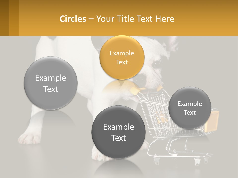 Cold Supply Switch PowerPoint Template