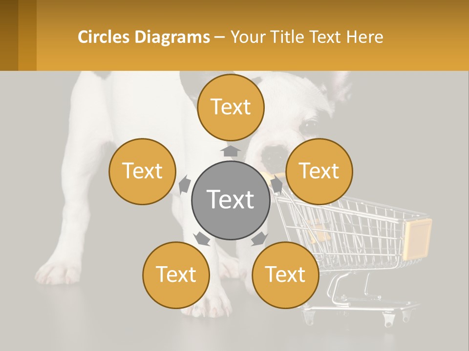 Cold Supply Switch PowerPoint Template