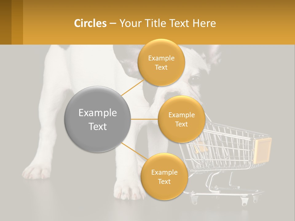 Cold Supply Switch PowerPoint Template