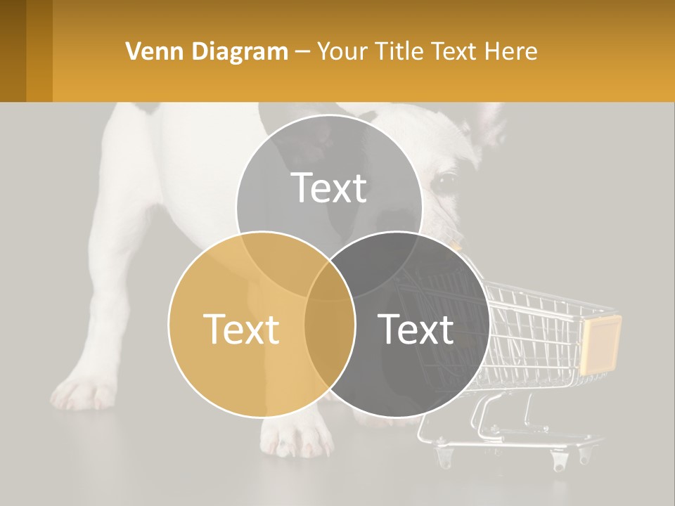 Cold Supply Switch PowerPoint Template