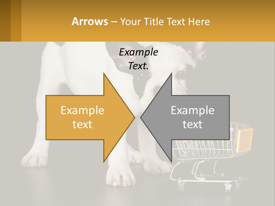 Cold Supply Switch PowerPoint Template
